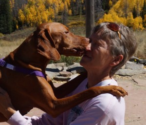kiss a dog