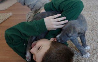 Helping a child overcome his fear of dogs