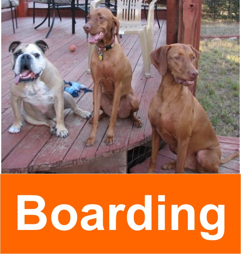 boarding_2