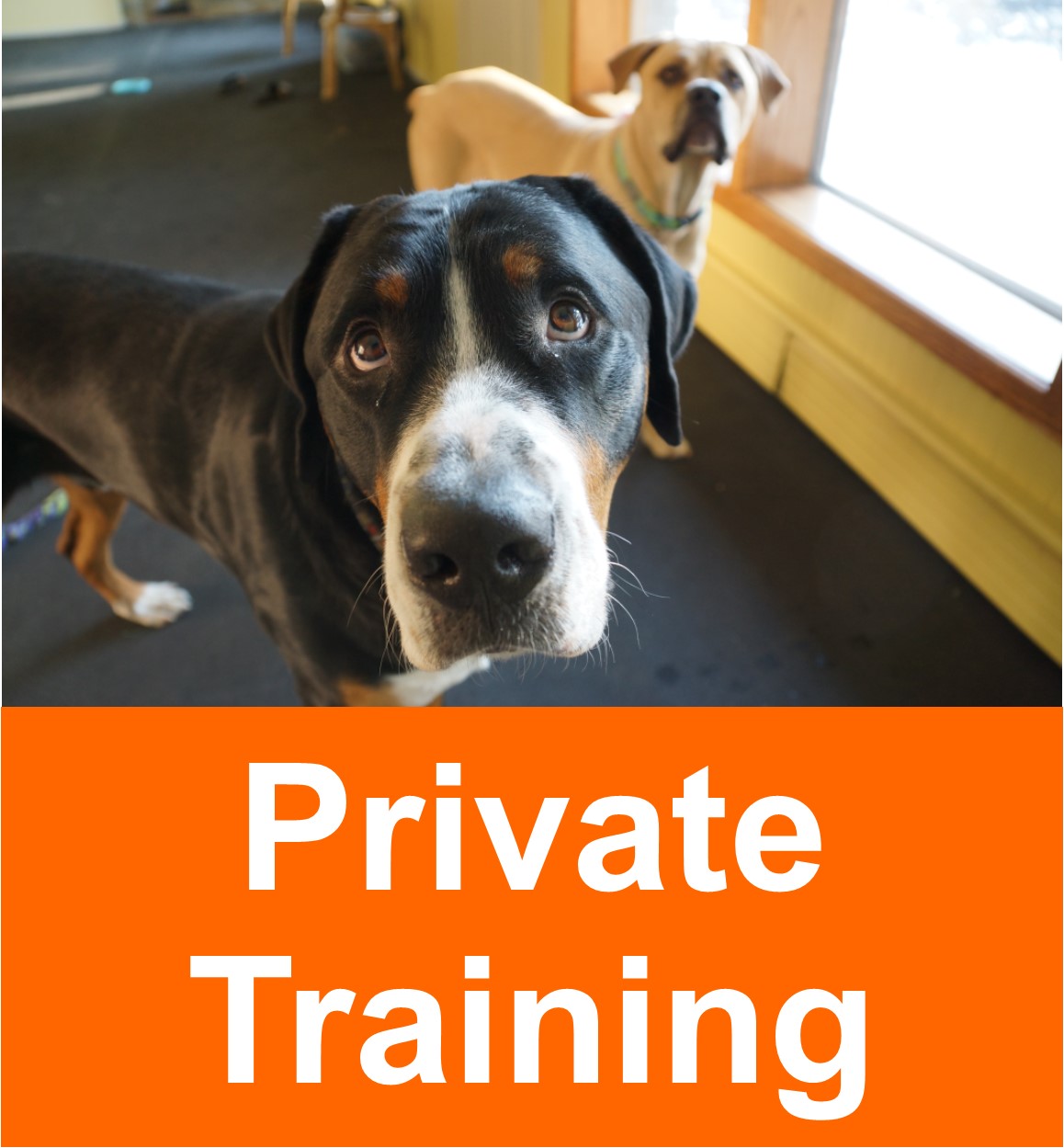 private_training_2