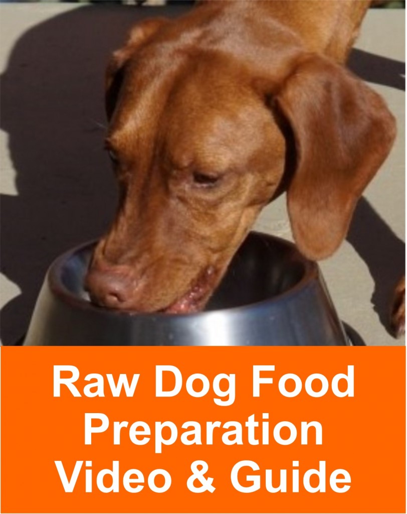 raw_dog_food_5