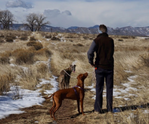 If you were gone, who would care for your dog?