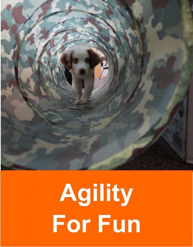 agility_for_fun_2