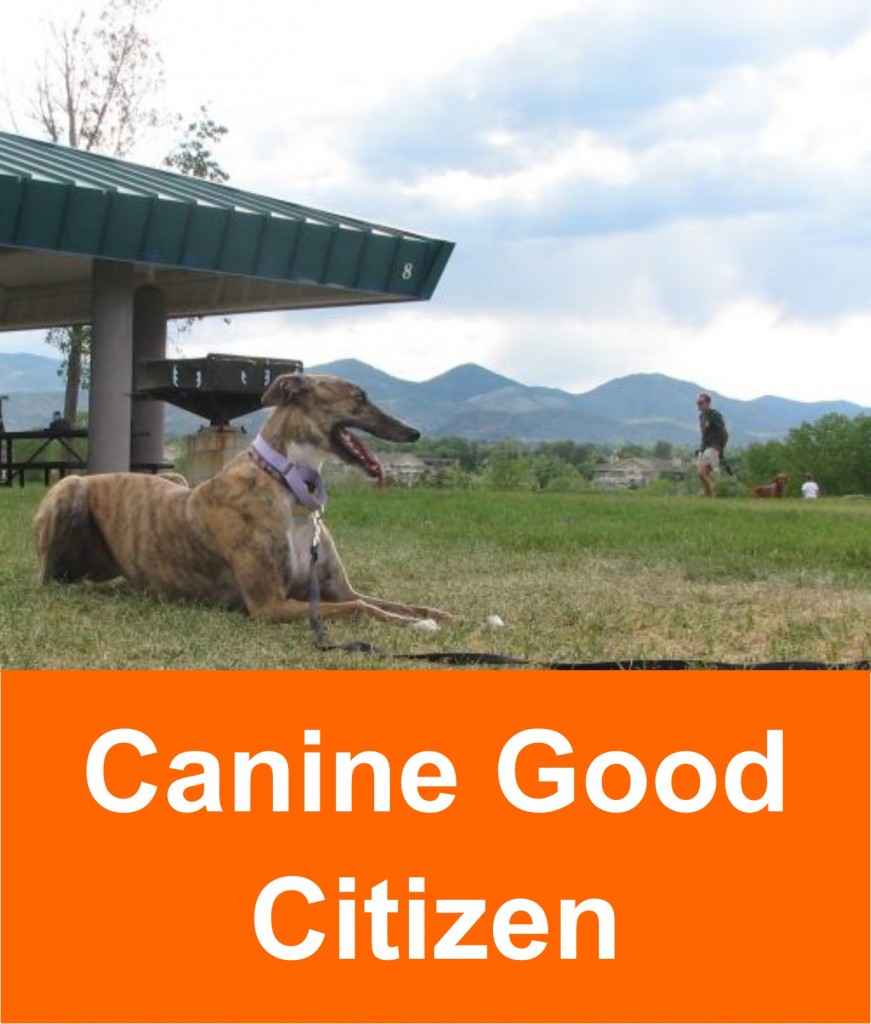 canine_good_citizen_2