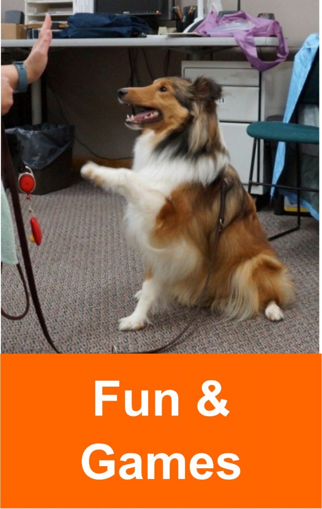 fun_games