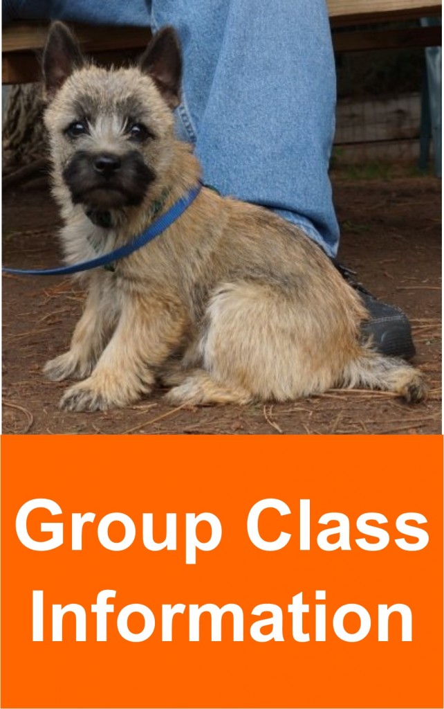 group_class_info