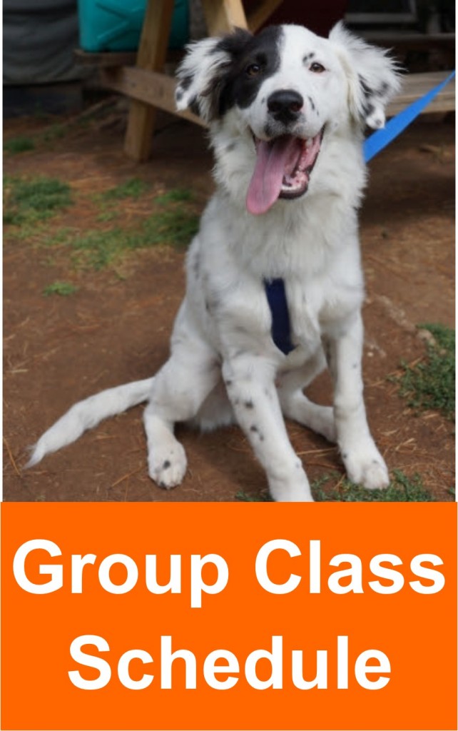 group_class_schedule