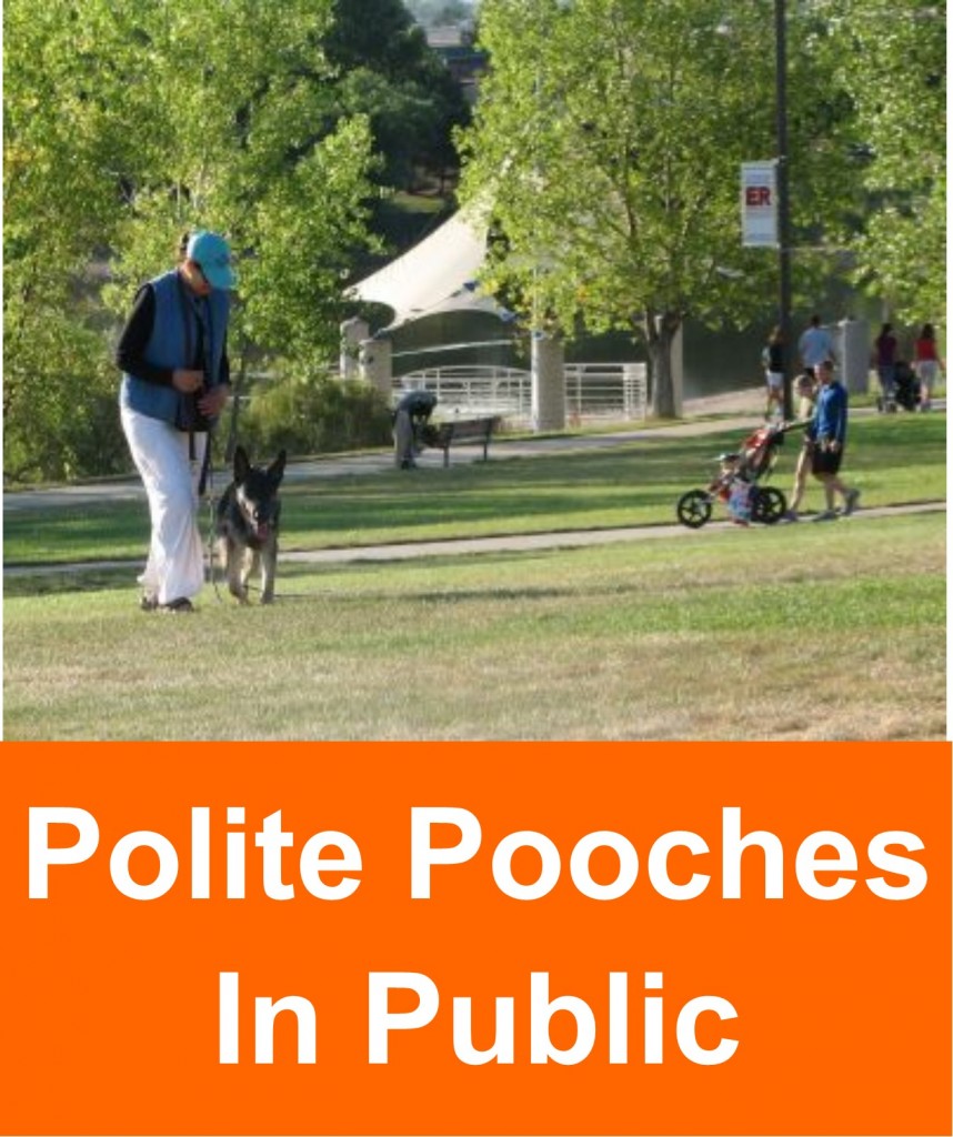 polite_pooches_in_public_2
