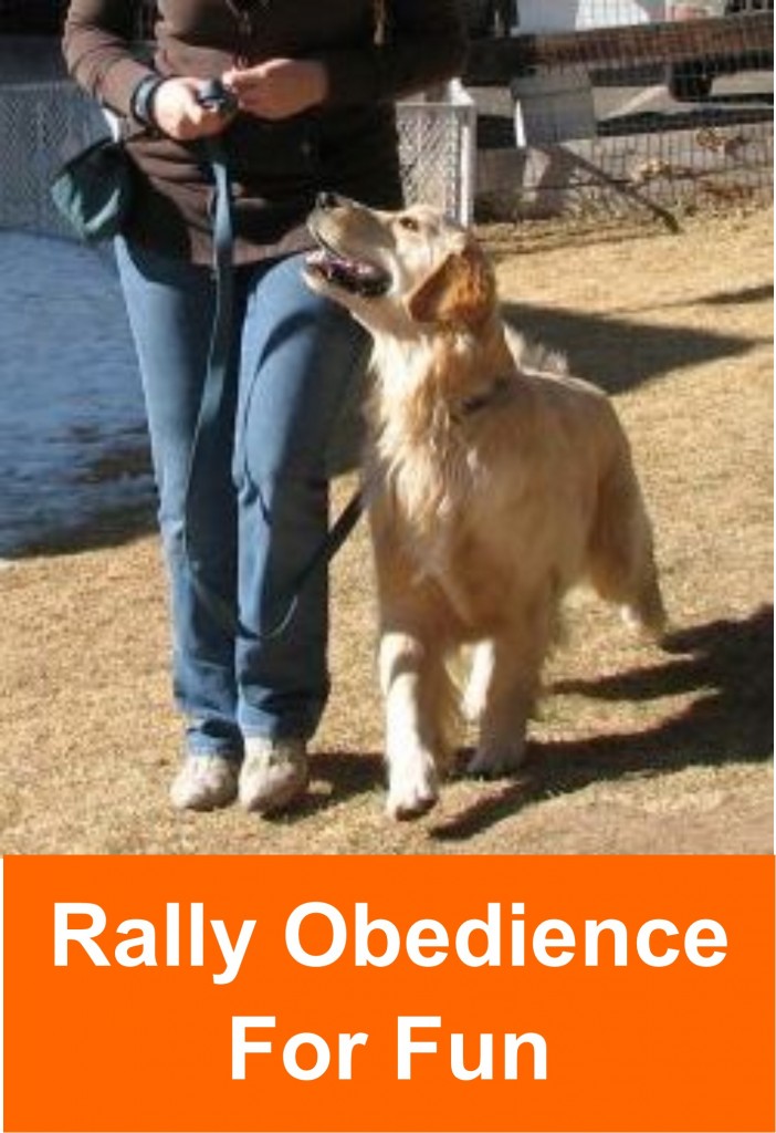 rally_obedience_2