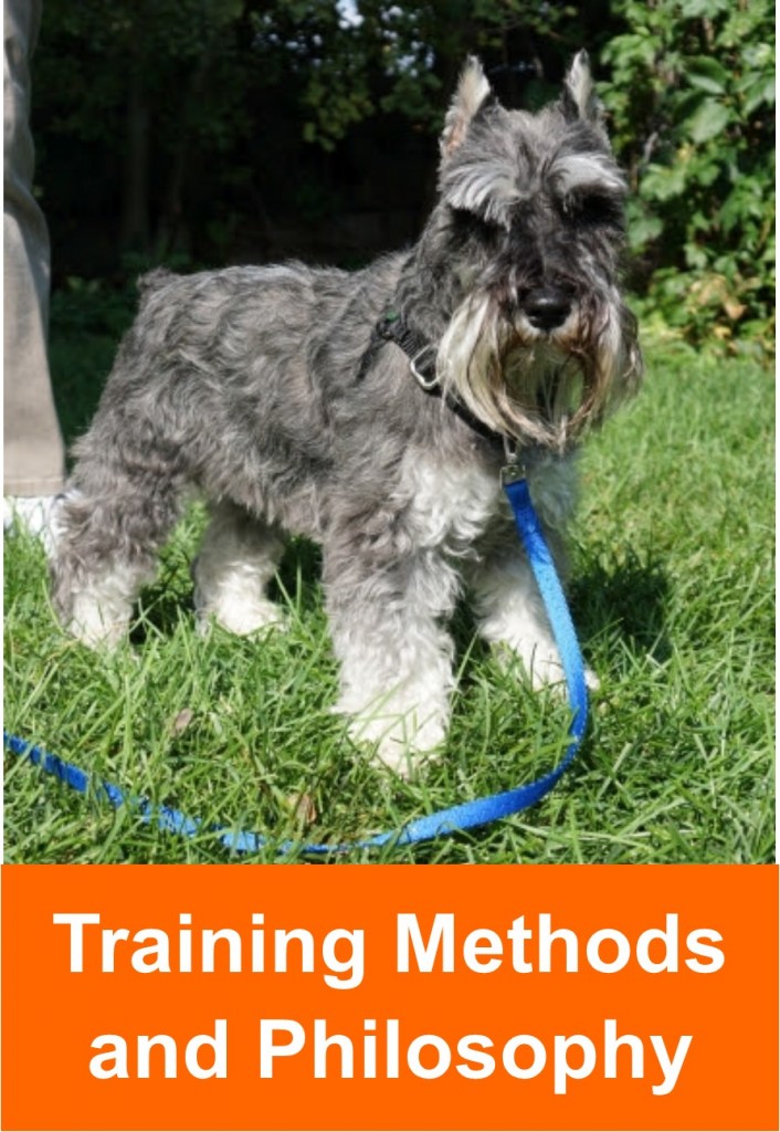 trainng_methods