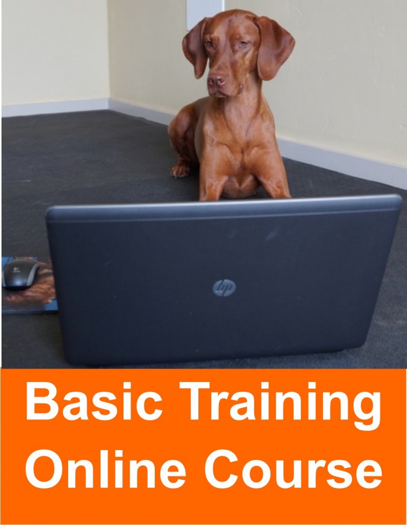 basic_training_online_course