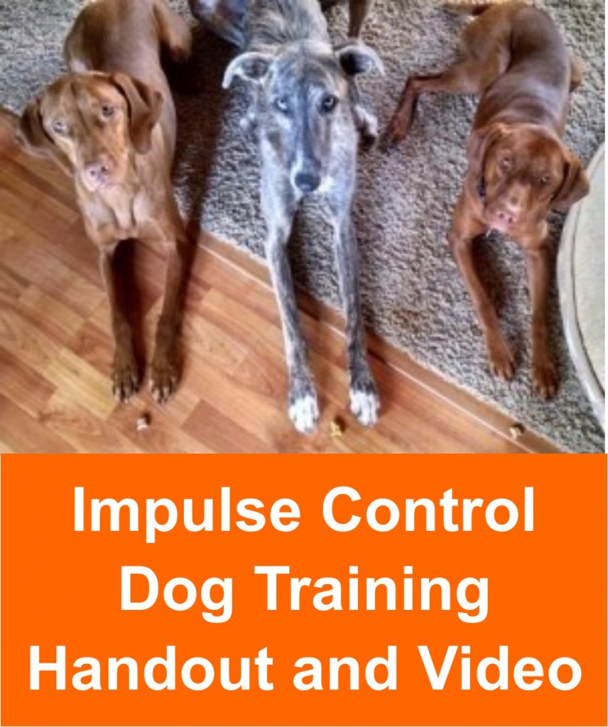 impulse_module