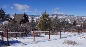 2015_02_17_House_Backyard_DSC01302