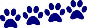 4_paws_up