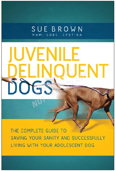jd_dogs_cover_5