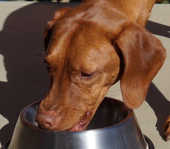 Raw Dog Food Preparation Video & Guide