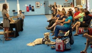 service dogs