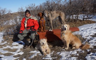 dogs a part of your holiday traditions?