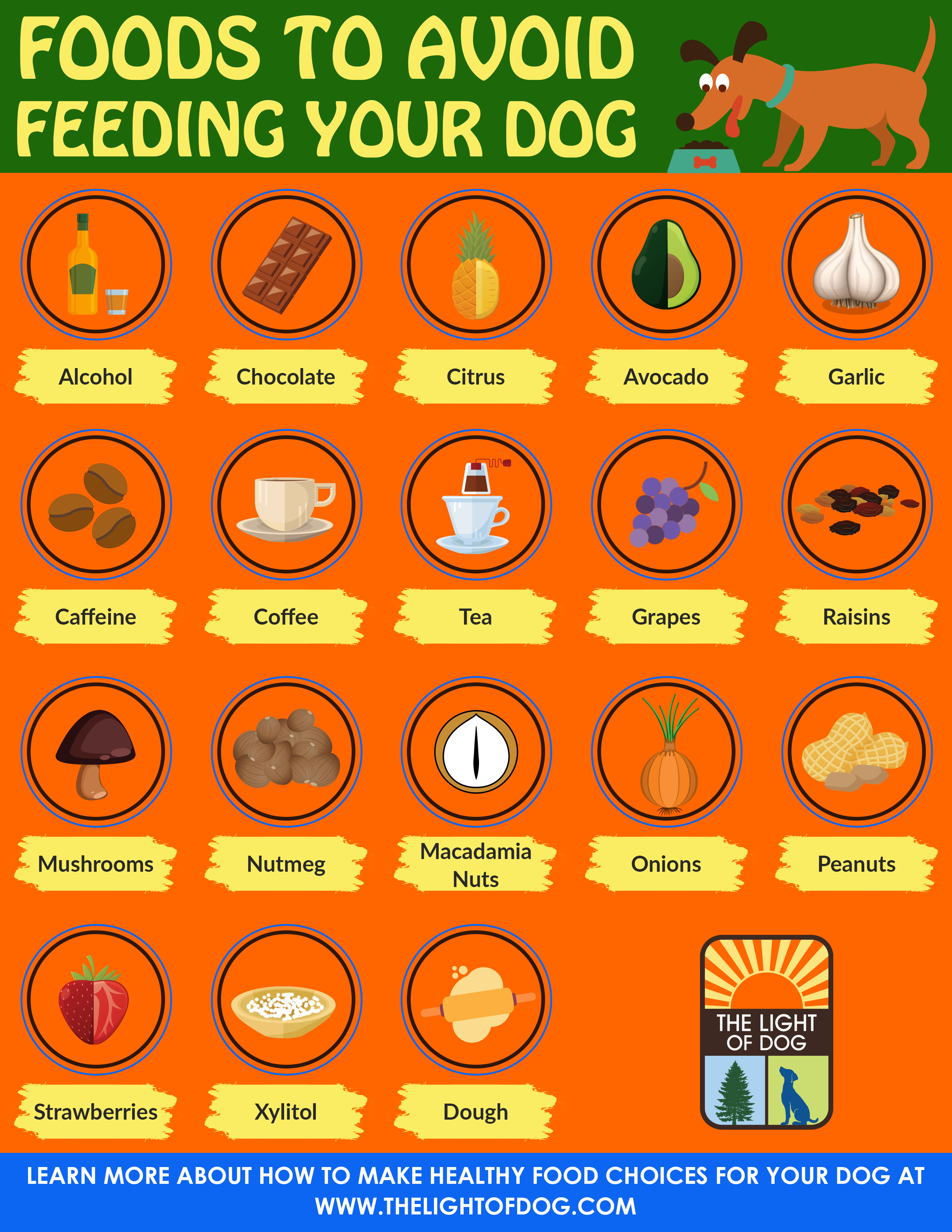 Foods To Avoid Feeding Your Dog The Light Of Dog