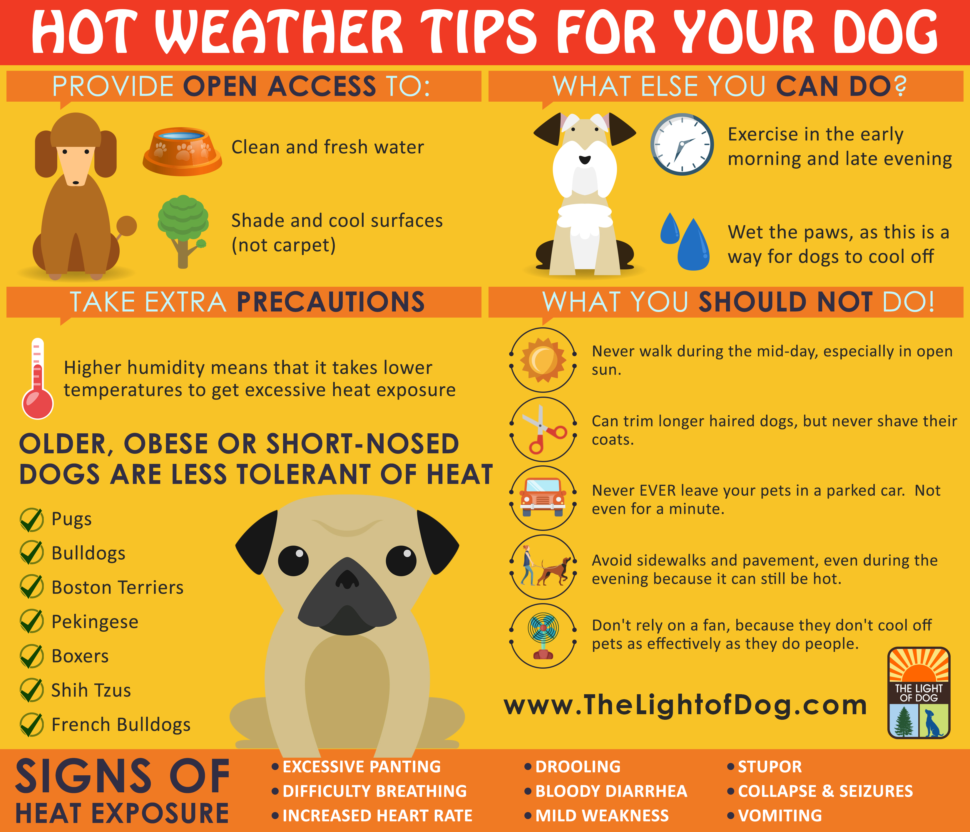 Hot weather tips for your dog - The Light Of Dog