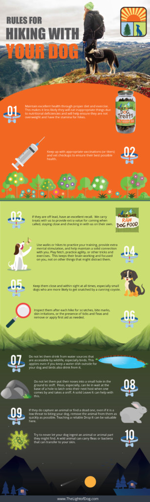 Rules for hiking with your dog