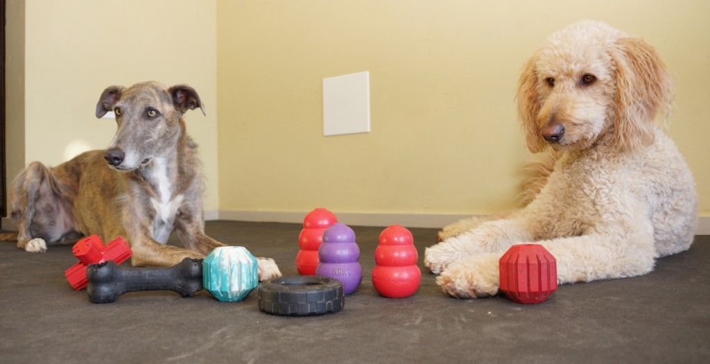 Kong toys