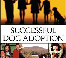 Successful Dog Adoption by Sue Sternberg