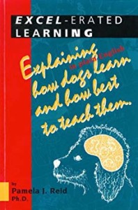 Excel-erated Learning by Pamela J. Reid, Ph.D