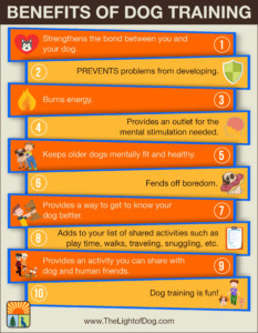 Benefits of training your dog