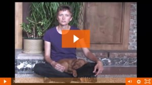 cues and expectations