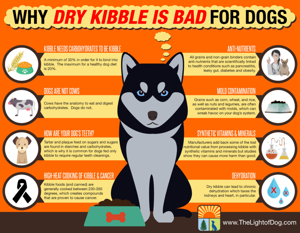 Why Dry Kibble Is Bad For Dogs The Light Of Dog