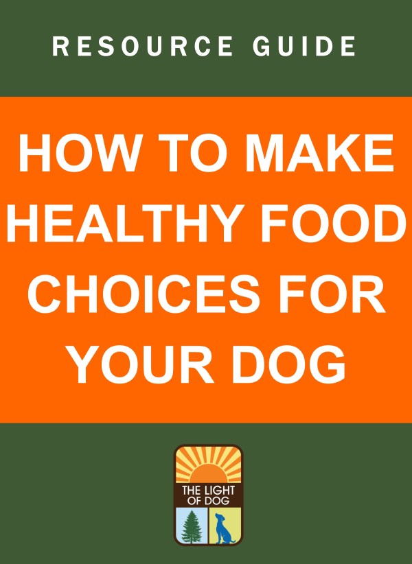 How To Make Healthy Food Choices For Your Dog