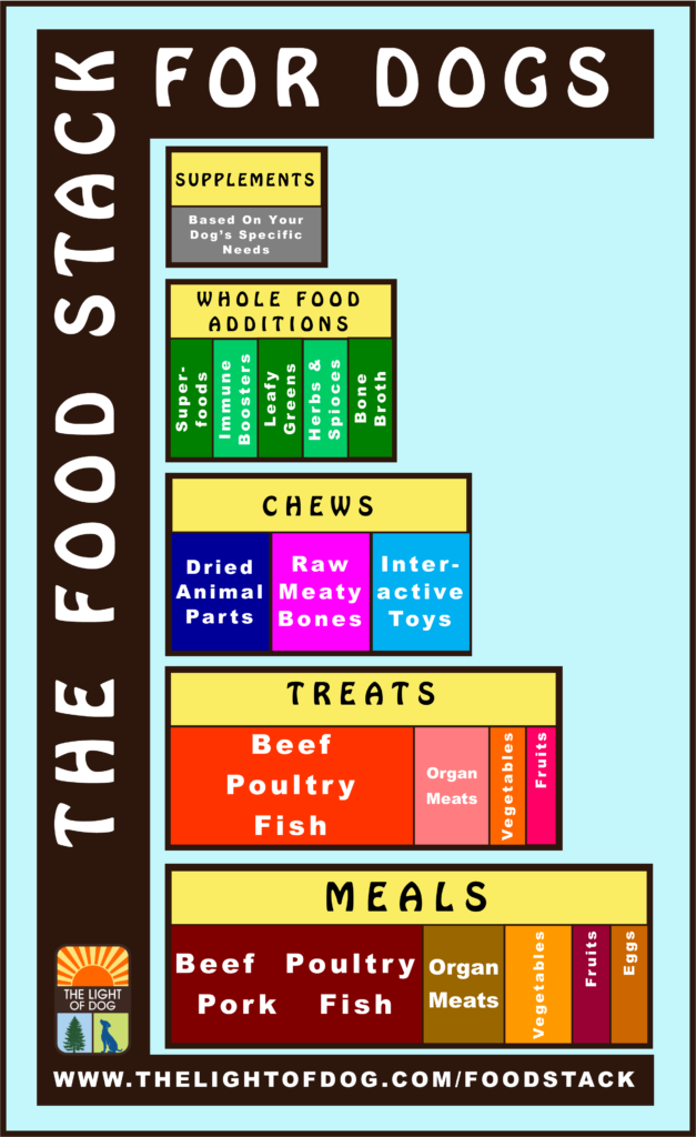 The Food Stack For Dogs
