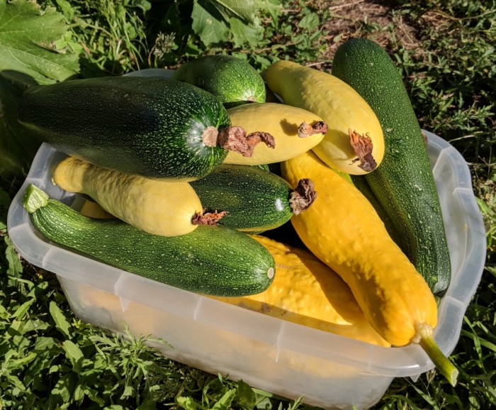 Assorted Vegetables - One Pound