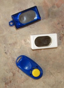 clicker training