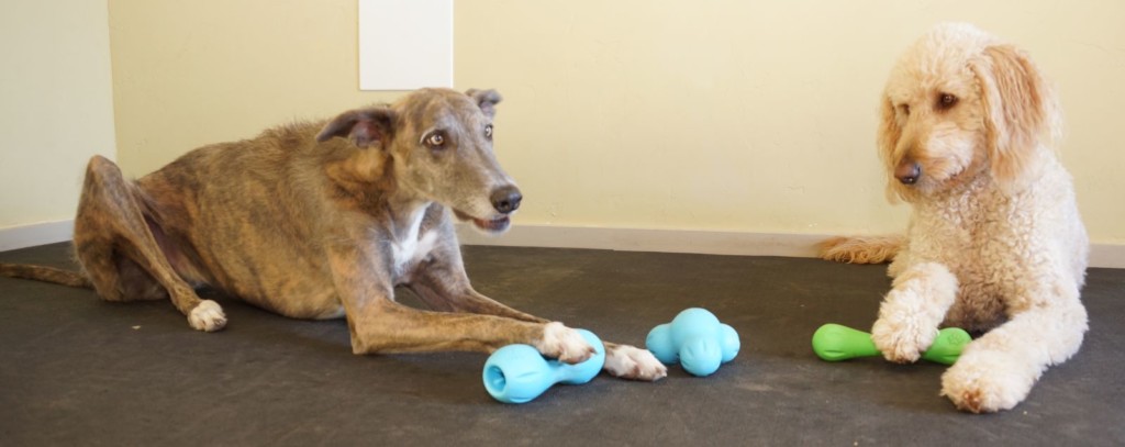 dog toys take more effort to get food out of them