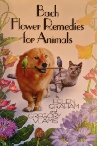 Bach Flower Remedies