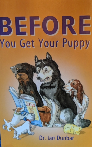 Family Friendly Dog Training