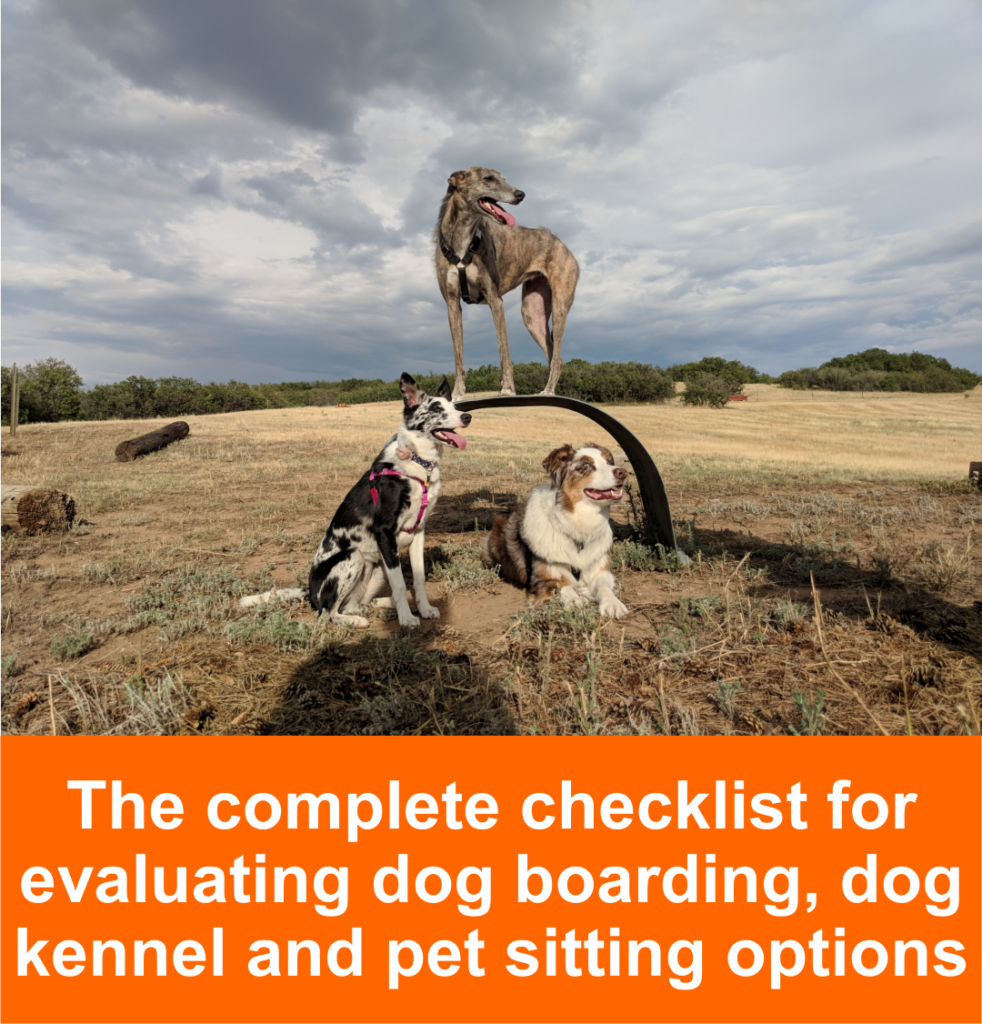 The complete checklist for evaluating dog boarding, dog kennel and pet sitting options