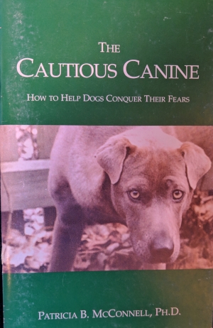 The Cautious Canine