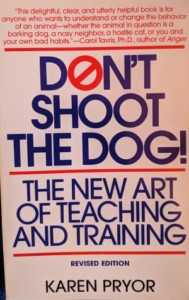 Don't Shoot The Dog