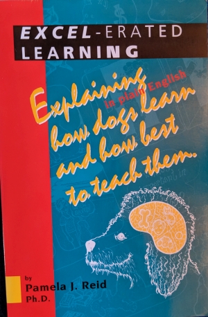 Excel-erated Learning