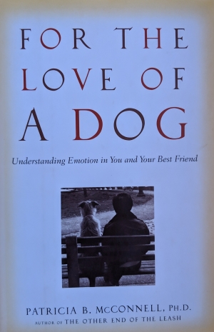 Family Friendly Dog Training