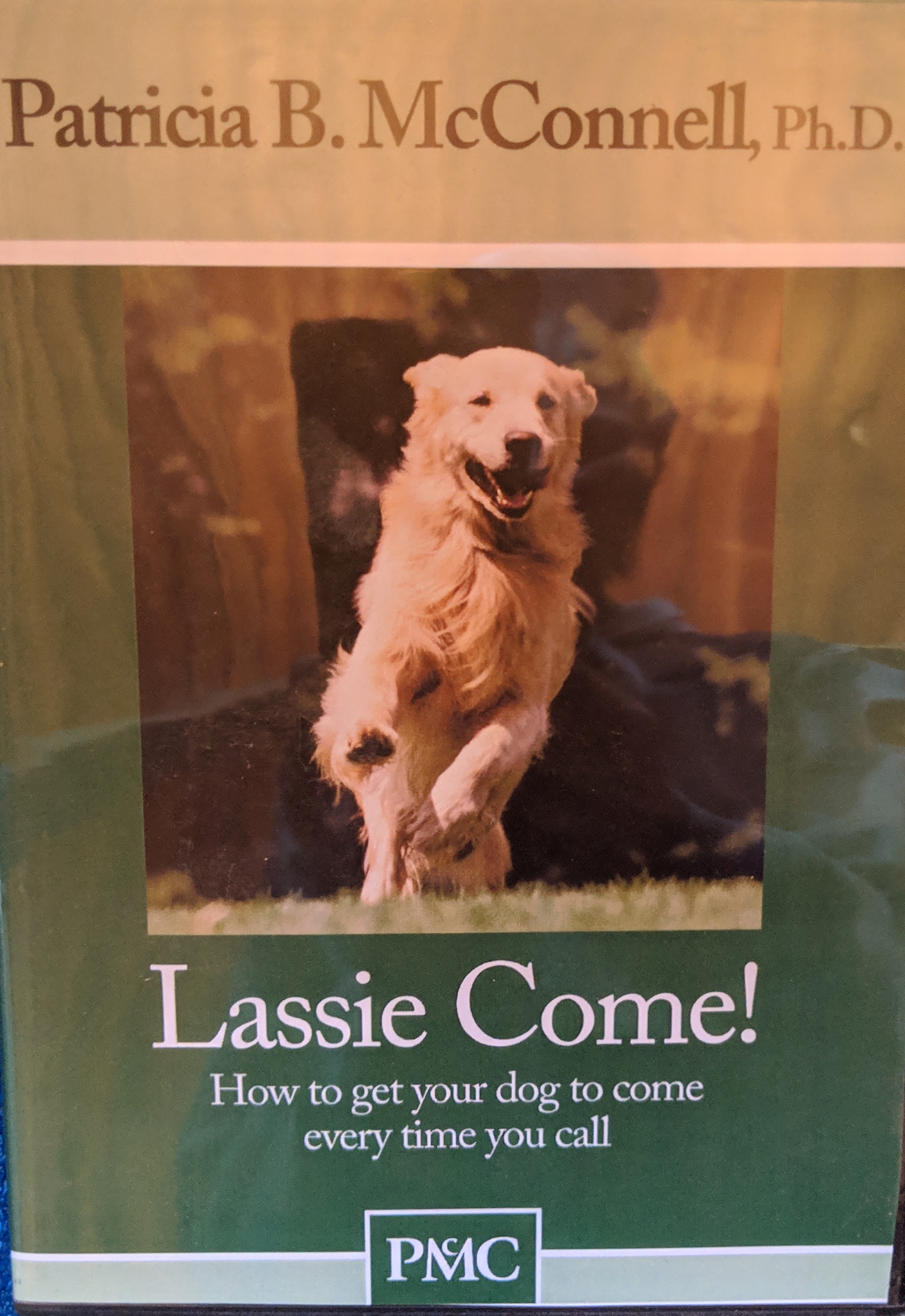 Lassie Come