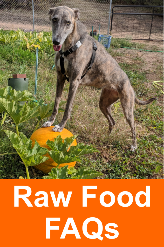 Raw Food FAQs