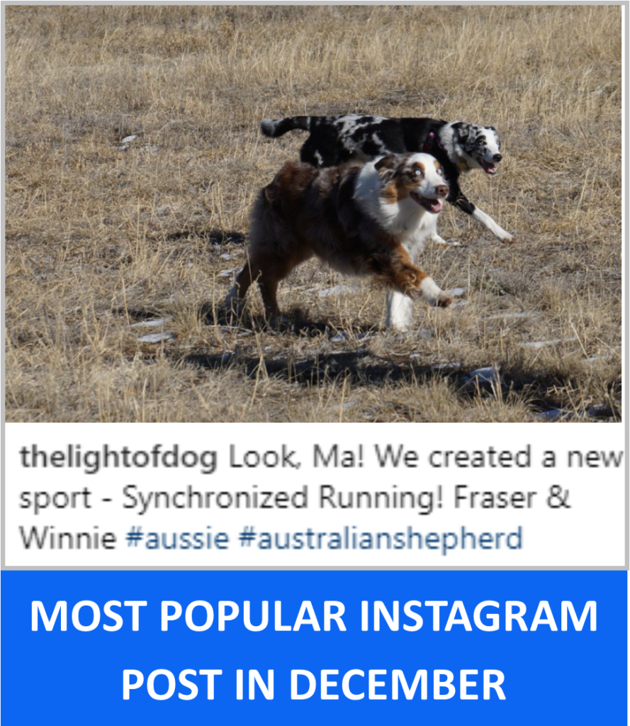 Most Popular Instagram Post in December