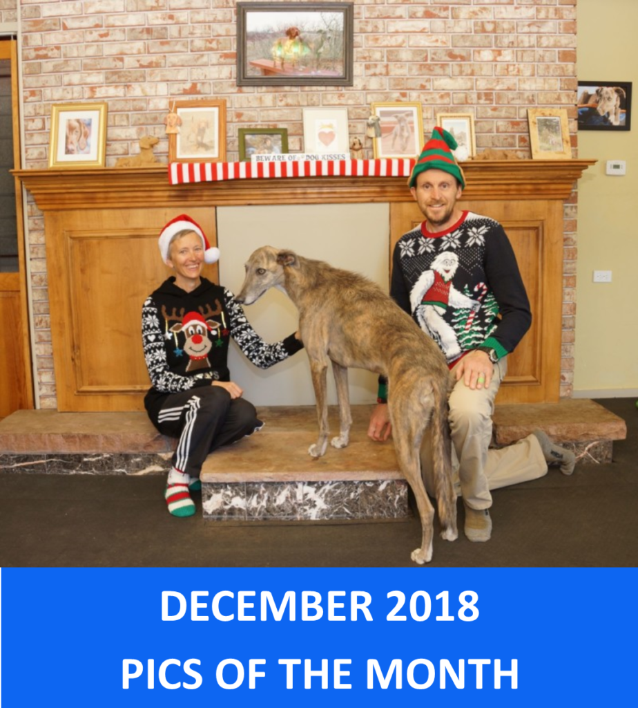 December 2018 Pics of the Month