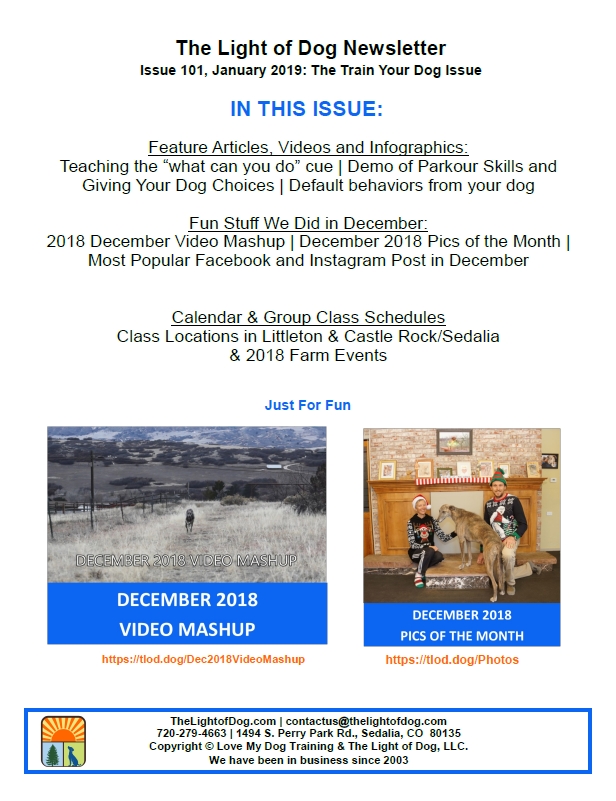 January 2019 Print Newsletter