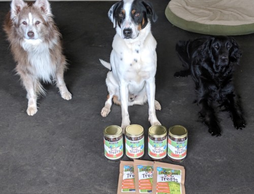Production Log for Peak Power Dog Beef Treats Semi-Soft/Chewy on Saturday, April 13 2019