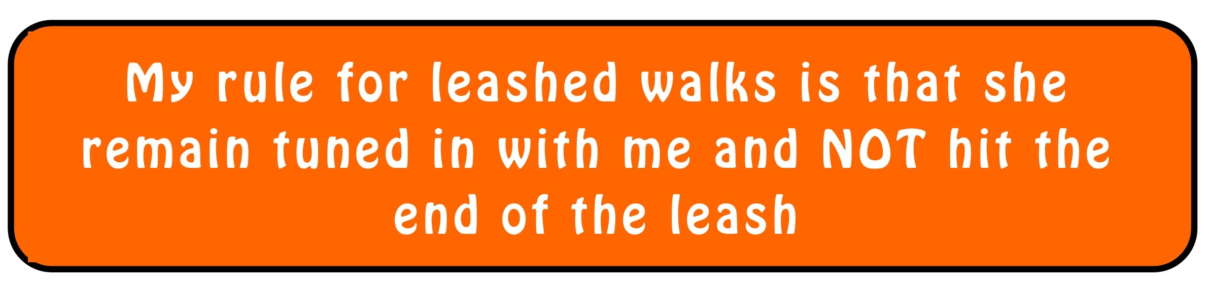 tuned_in_leash_walks Dog Making Good Choices